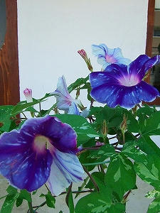 2012_08240008.jpg
