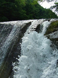 2012_08250004.jpg