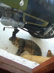2012_08280001.jpg