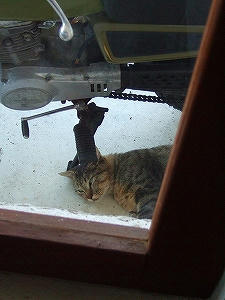 2012_08280007.jpg