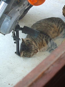 2012_08280010.jpg
