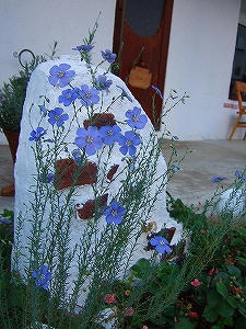2012_09030007.jpg