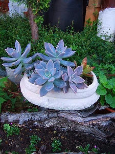 2012_09030008.jpg
