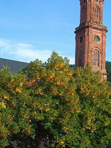 2012_09140064.jpg