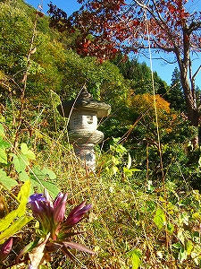 2012_11030007.jpg
