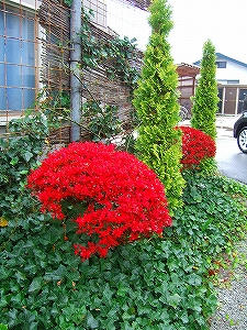 2012_11060007.jpg