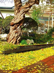 2012_11080003.jpg