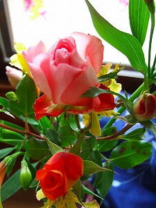 2012_11170006.jpg