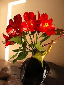 2012_11220009.jpg