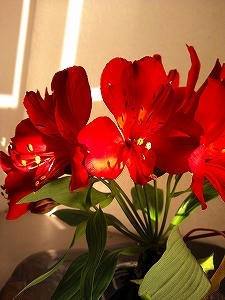 2012_11220010.jpg