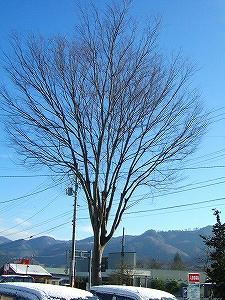2012_11280001.jpg