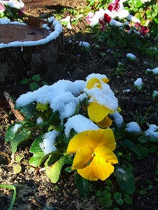 2012_11280004.jpg