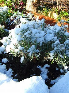2012_11280005.jpg