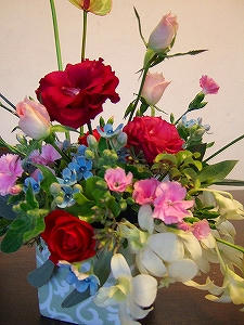 2012_11290003.jpg