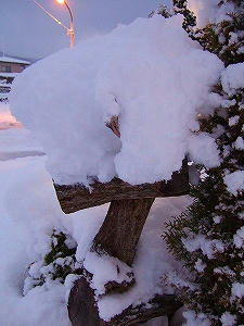 2012_12110004.jpg