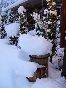2012_12110005.jpg