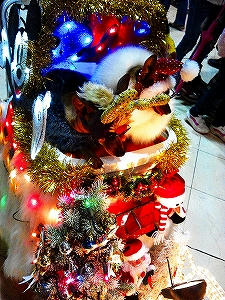 2012_12150007.jpg