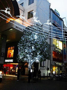 2012_12150008.jpg