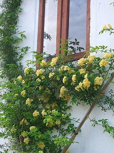 2013_06020009.jpg