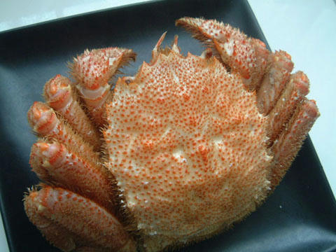 かに1