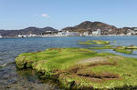 resize0042.jpg
