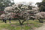 resize0053.jpg