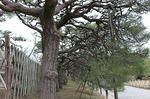 resize0057.jpg