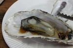 resize0070.jpg