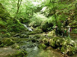 resize0099.jpg