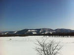 IMG_0194_R.JPG