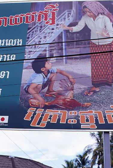 img438.jpg