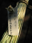 IMG_1331-1.JPG