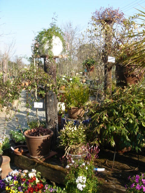 DSC01978.JPG