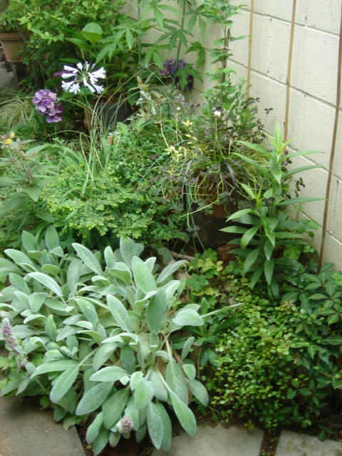 DSC03718.JPG