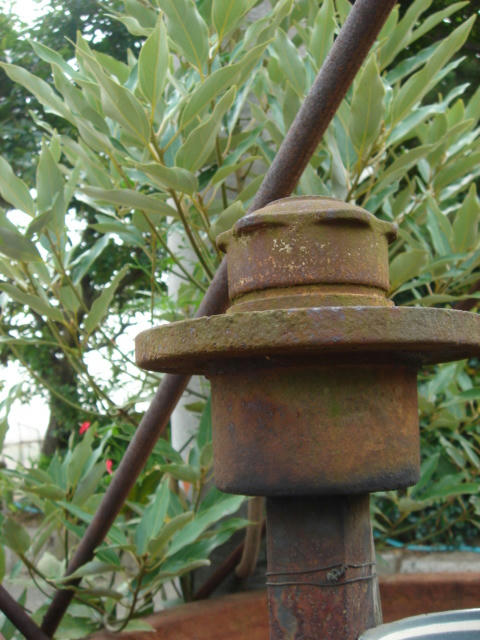 DSC03824.JPG