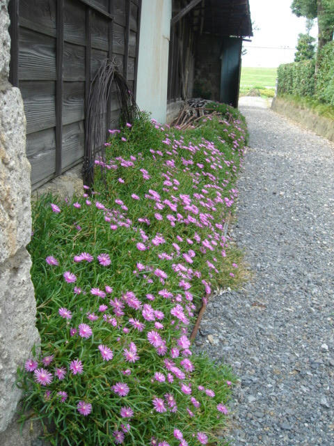 DSC03826.JPG