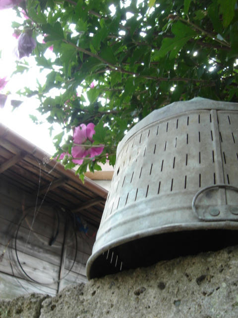 DSC03829.JPG