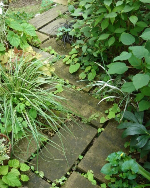 DSC04014.jpg