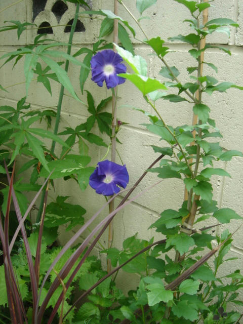 DSC04064.JPG