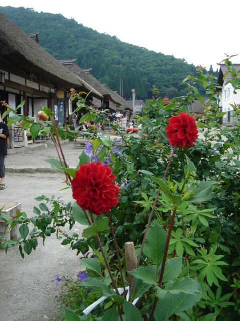 DSC04229.JPG