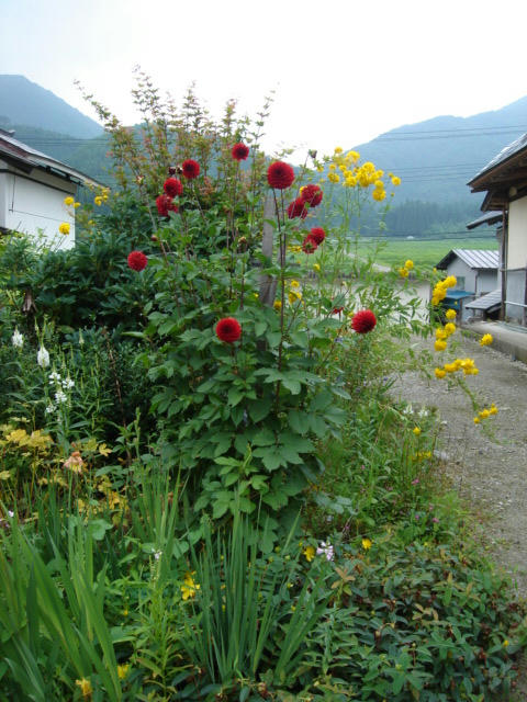 DSC04252.JPG