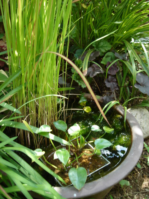 DSC04393.JPG