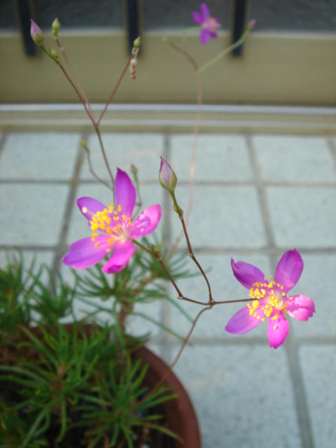DSC04477.JPG