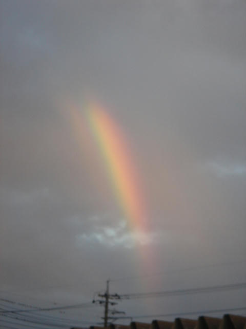 DSC04643.JPG