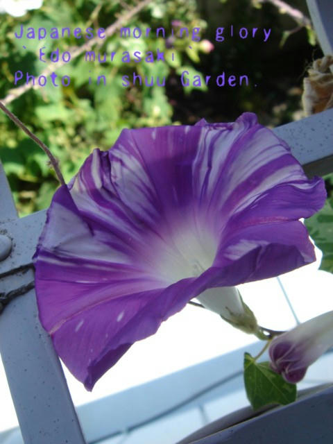 DSC05064.jpg