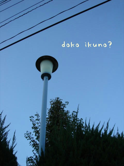 DSC05873.jpg