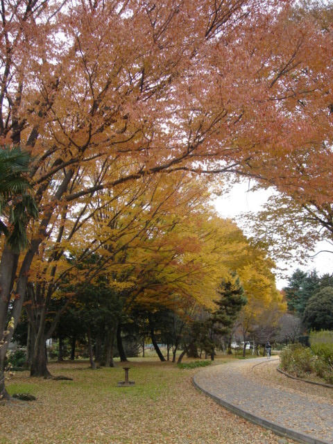 DSC06161.JPG