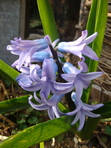DSC07549a.jpg