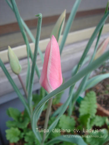 DSC07935.jpg