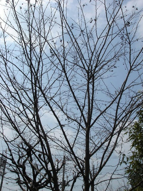 DSC07598.jpg
